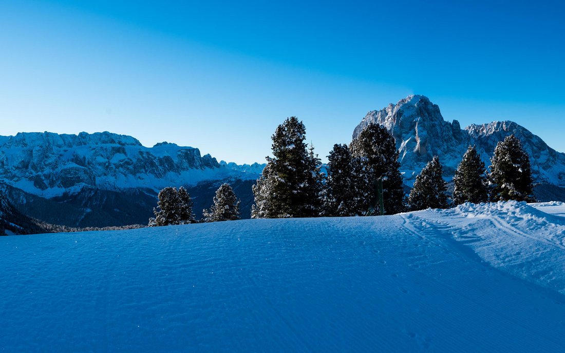 Familienhotel + Berge: Spaß!